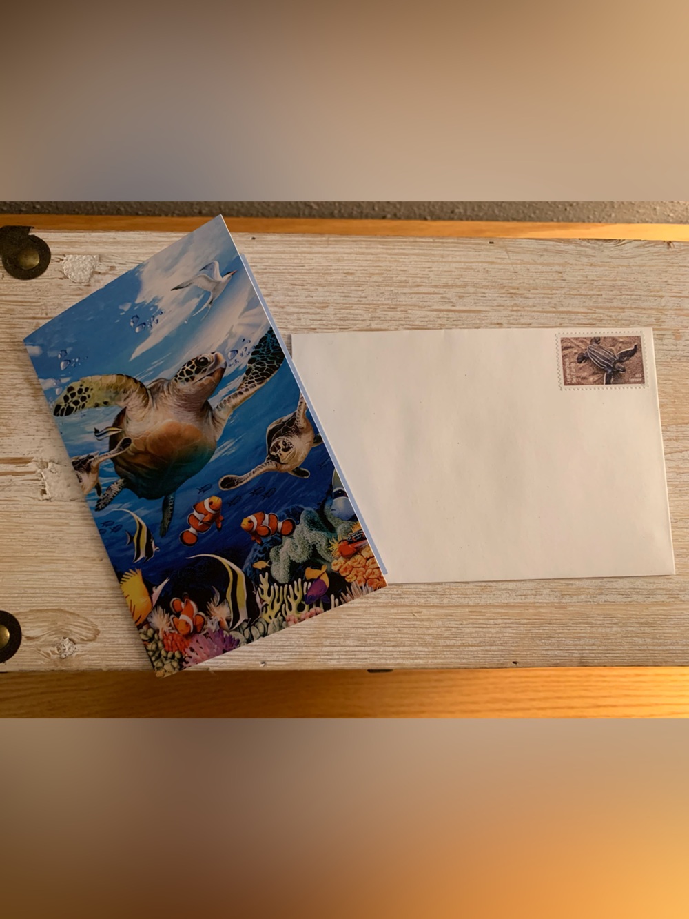 Stamped Sea Turtle Notecards- set of 12 including first- class sea turtle stamps